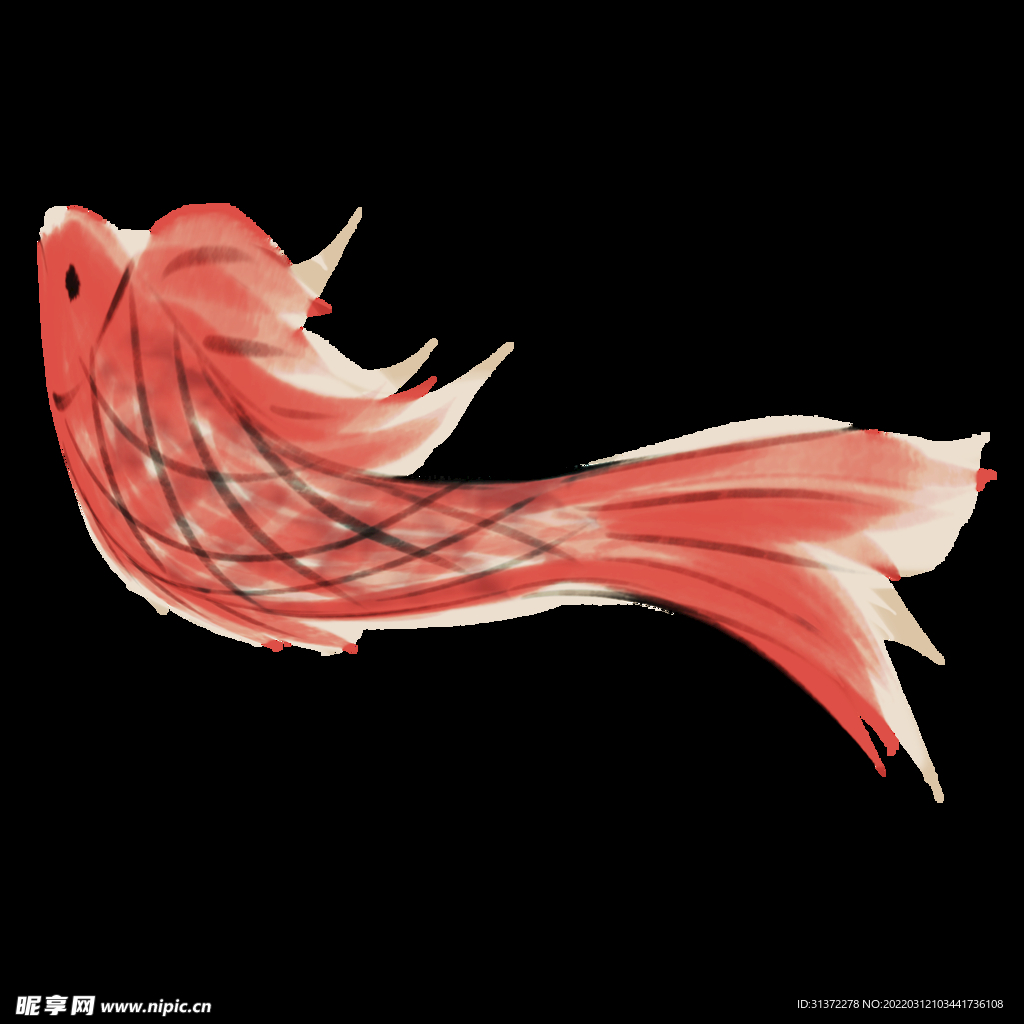 金鱼锦鲤手绘插画图片