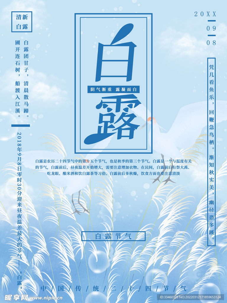 白露