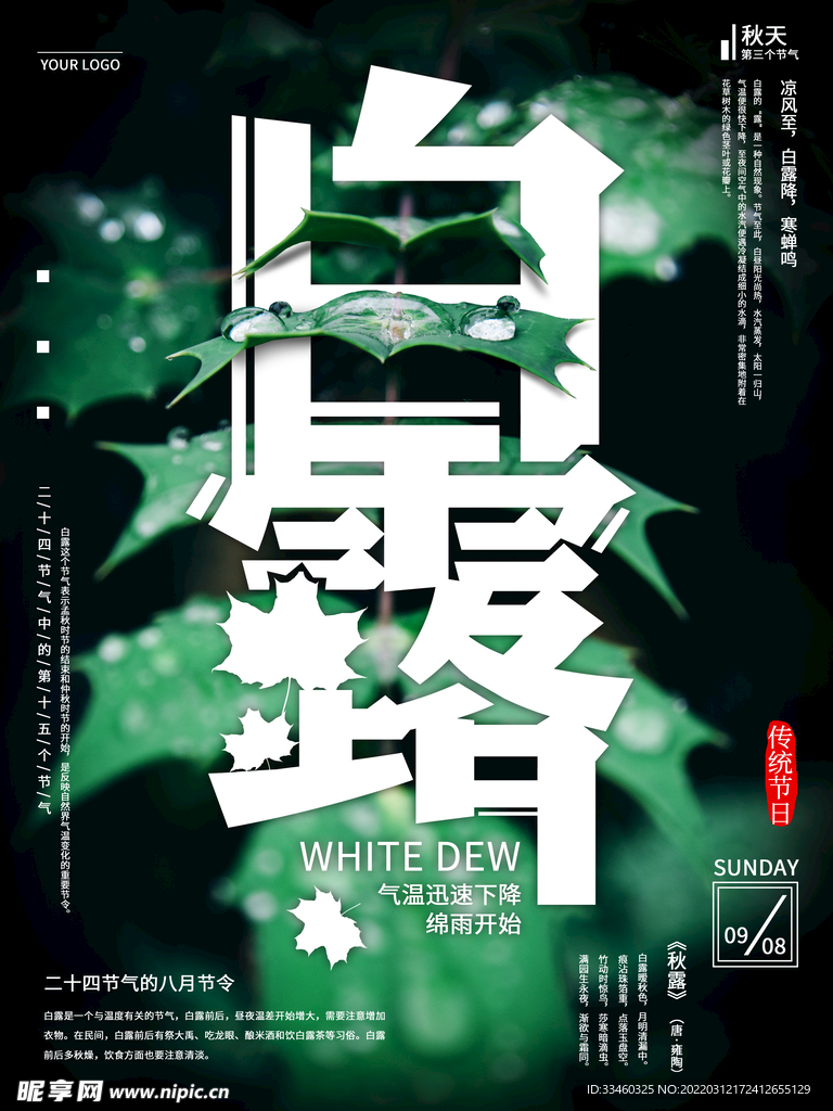 白露