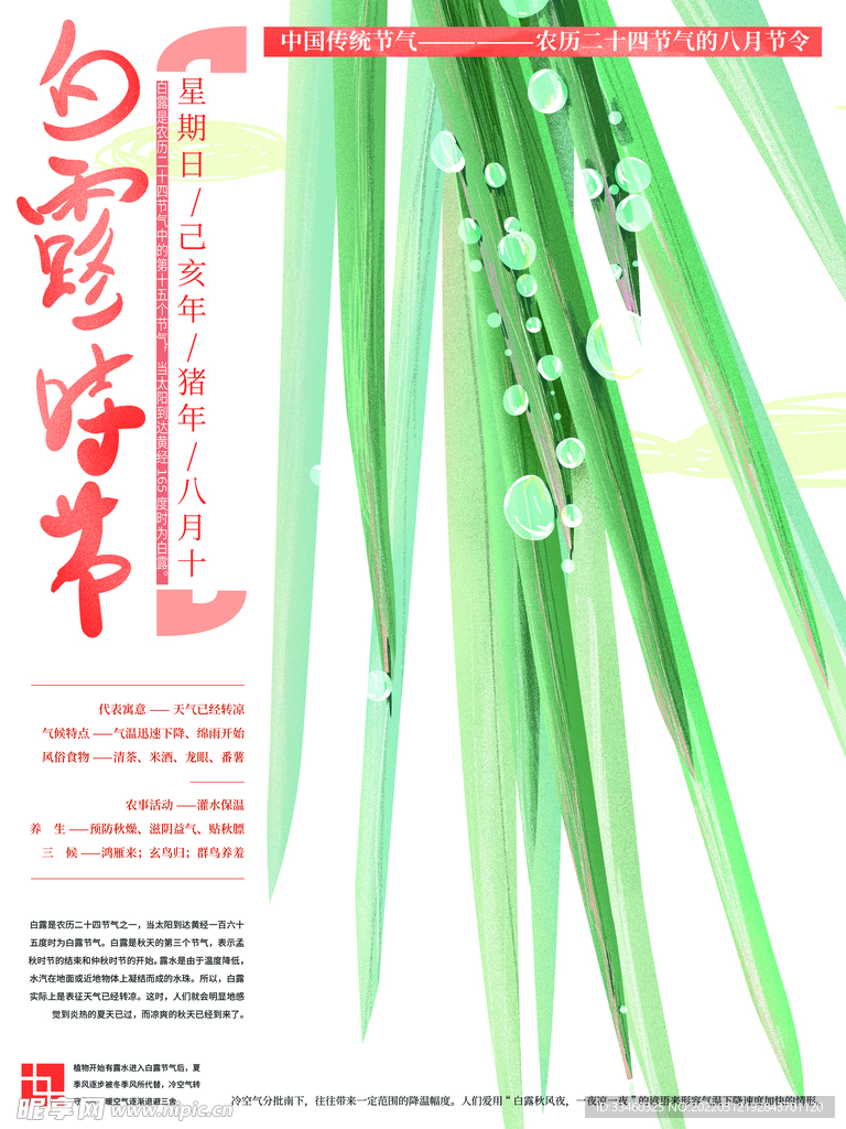 白露