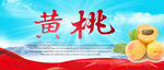 黄桃
