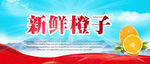 新鲜橙子