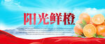 阳光鲜橙