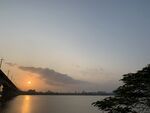 夕阳红