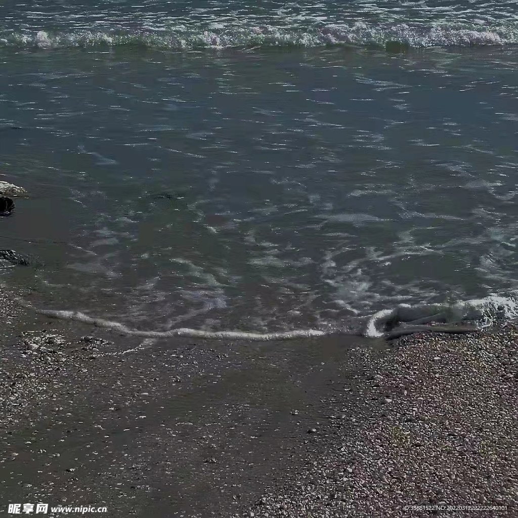 海