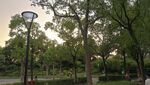 上海甘泉公园