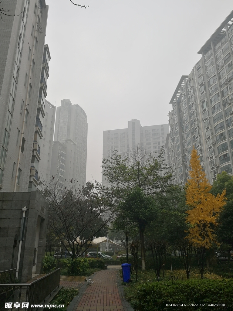 薄雾中的小区