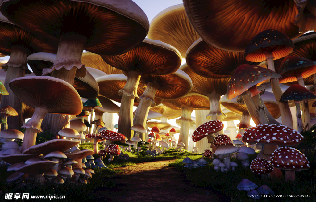 童话红伞伞蘑菇高清片
