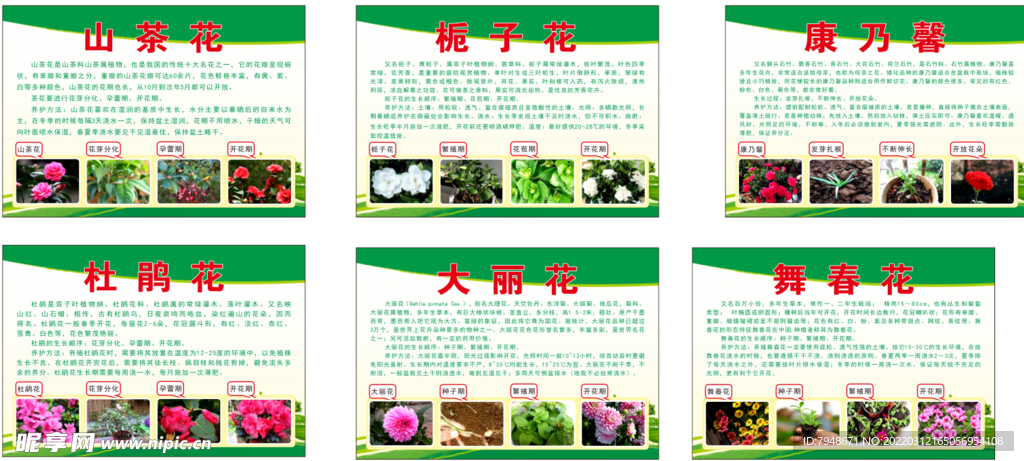 植物简介