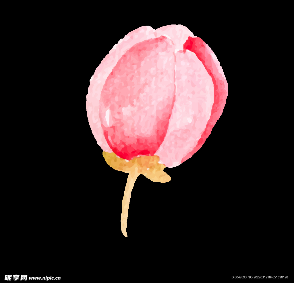 樱花素材