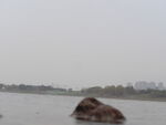 南京滨江
