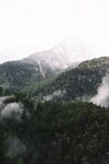 山林
