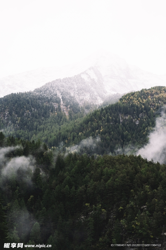 山林