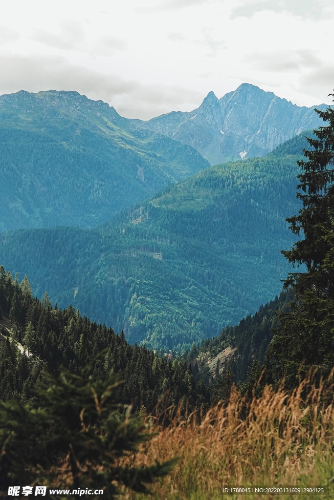 山林