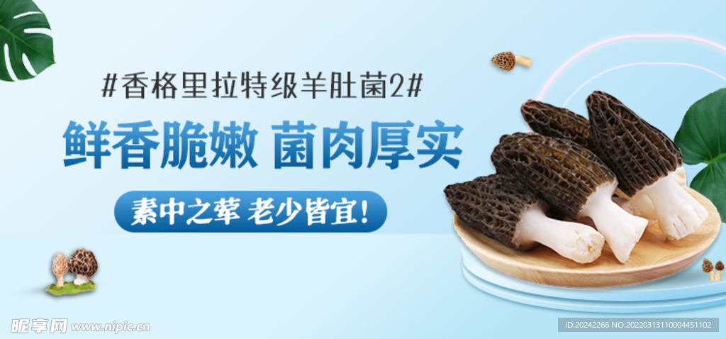 菌类 蘑菇