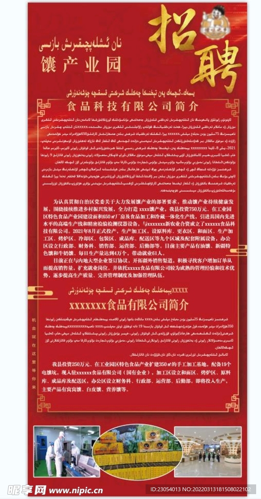 公司招聘
