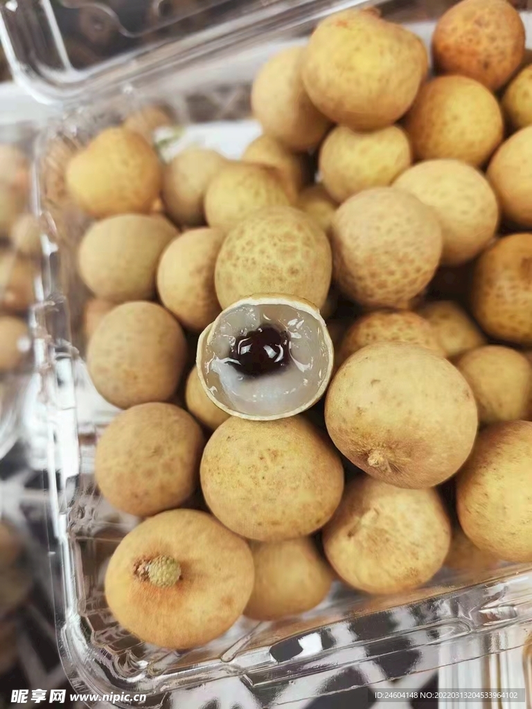桂圆