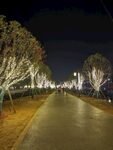 夜景