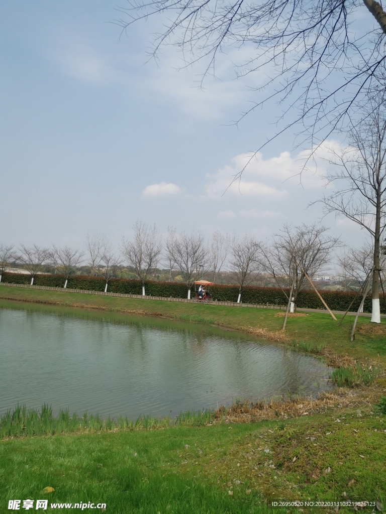风景