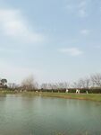 风景