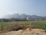 风景