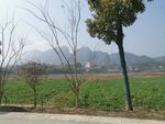 风景