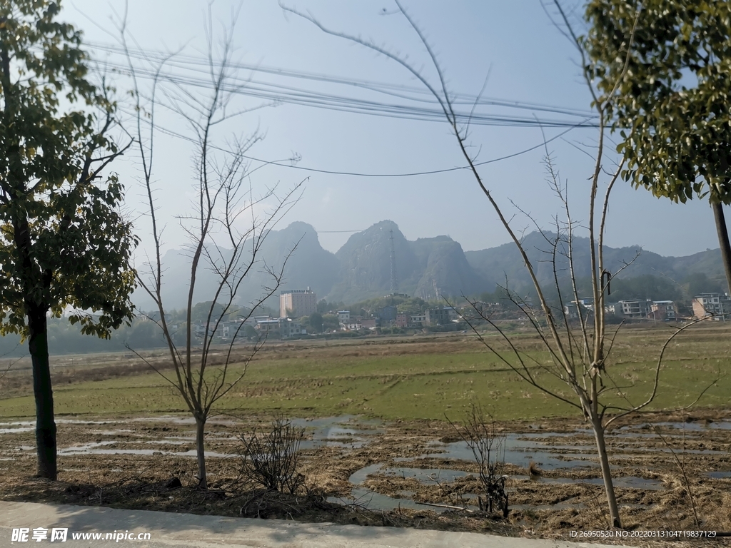 风景