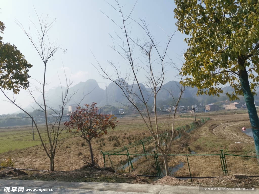 风景