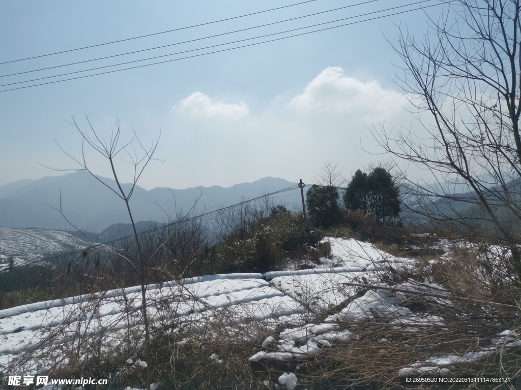 雪景