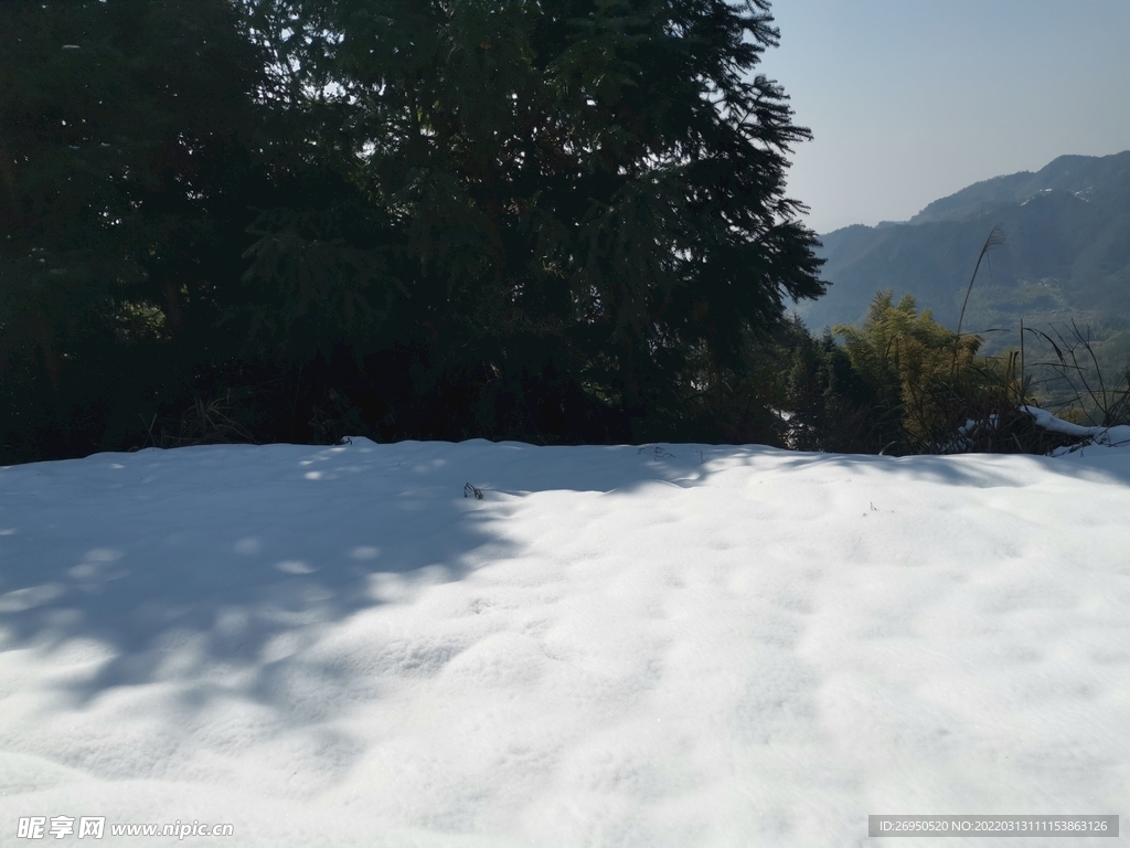 雪景