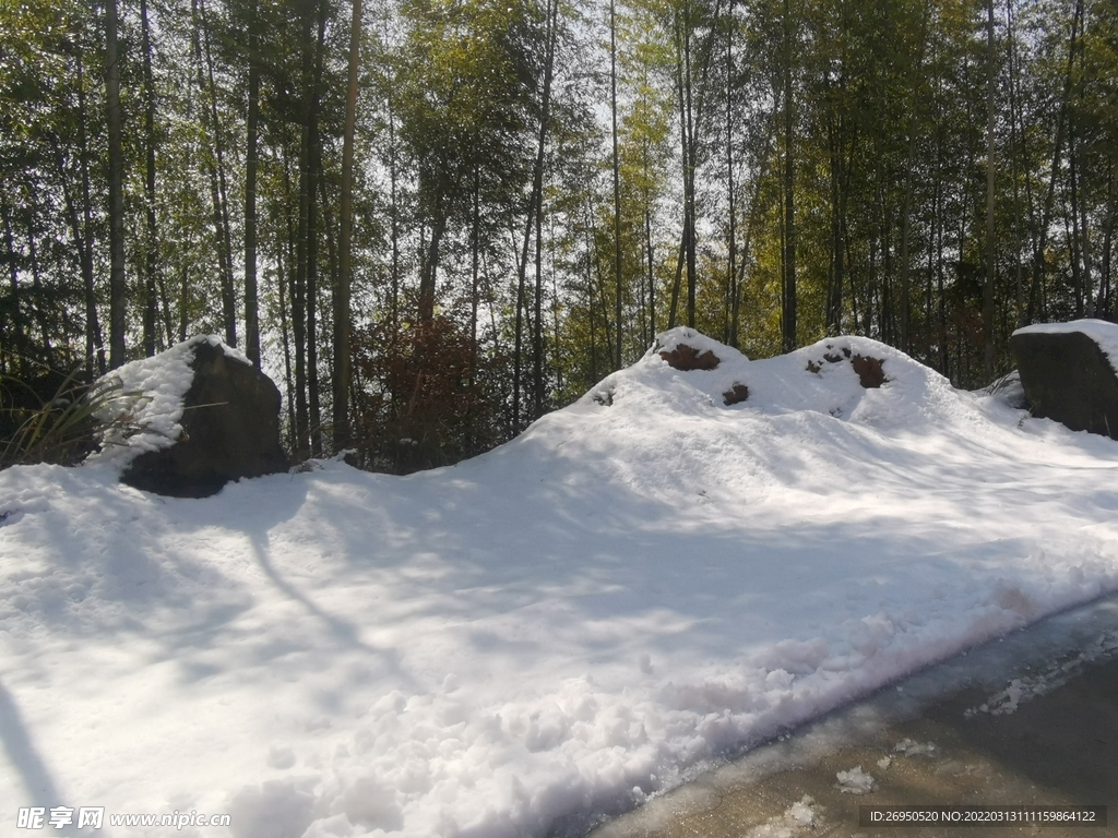 雪景