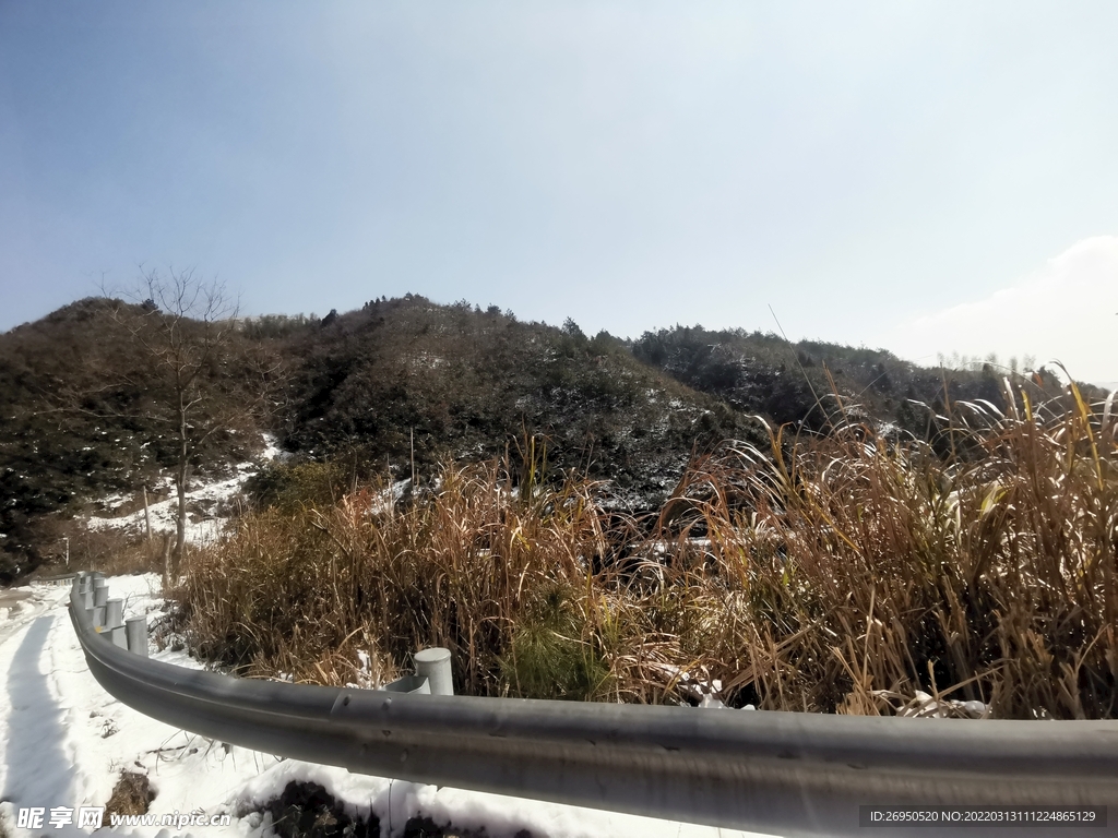 雪景