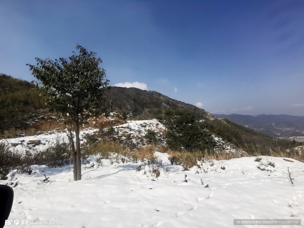 雪景