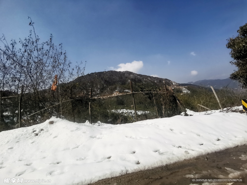 雪景
