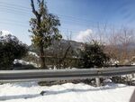 雪景