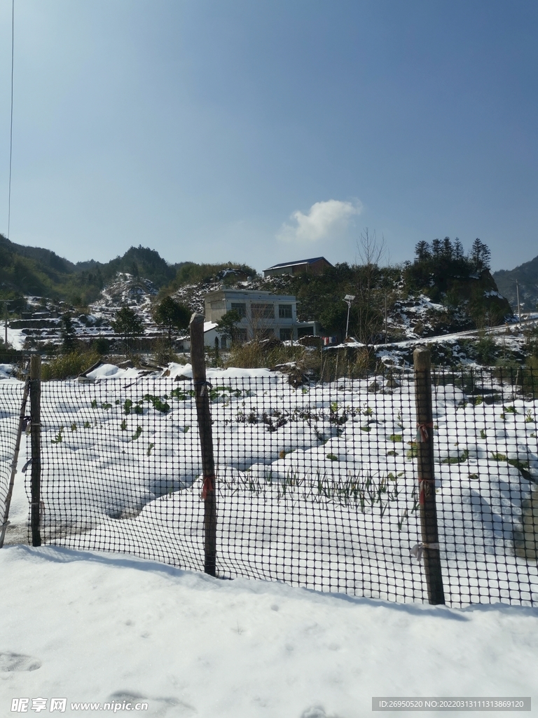 雪景