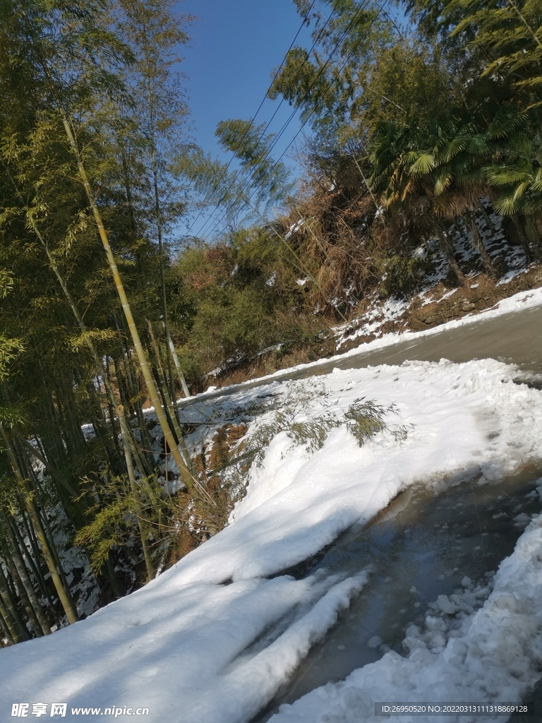 雪景