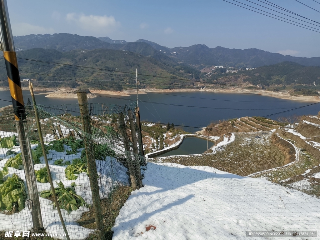 风景