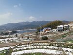 风景