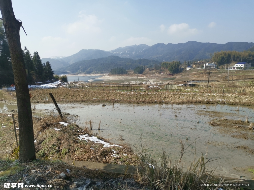 风景