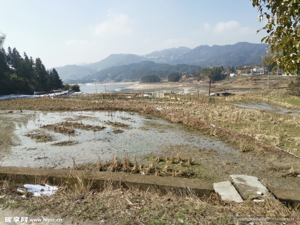 风景
