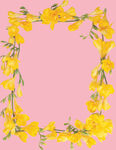 花框