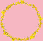 花框