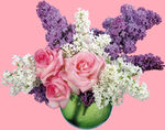 丁香花