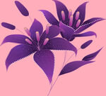 百合花