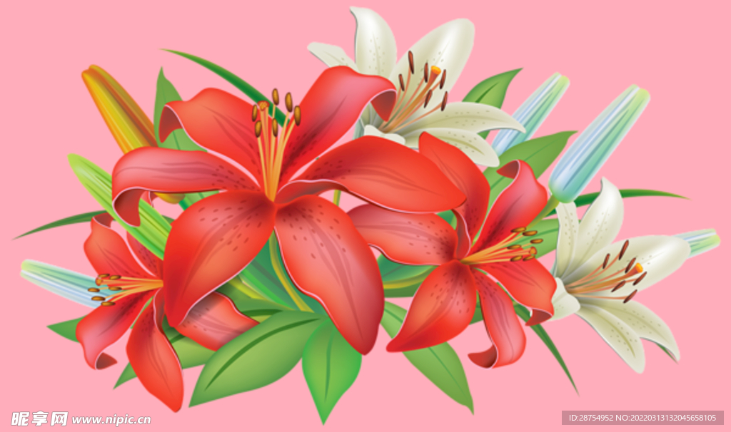 百合花