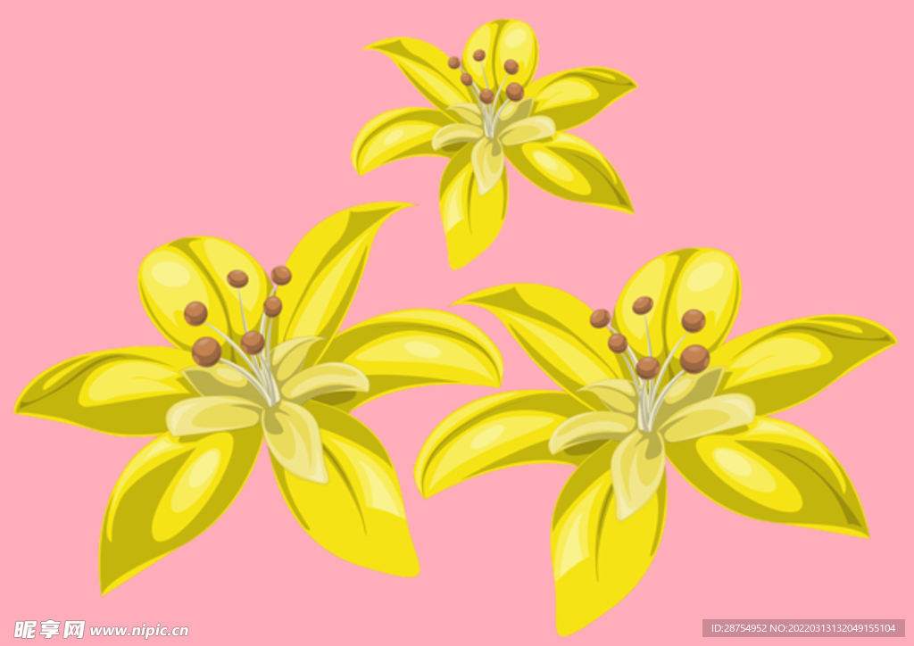 百合花