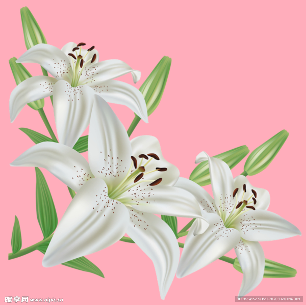 百合