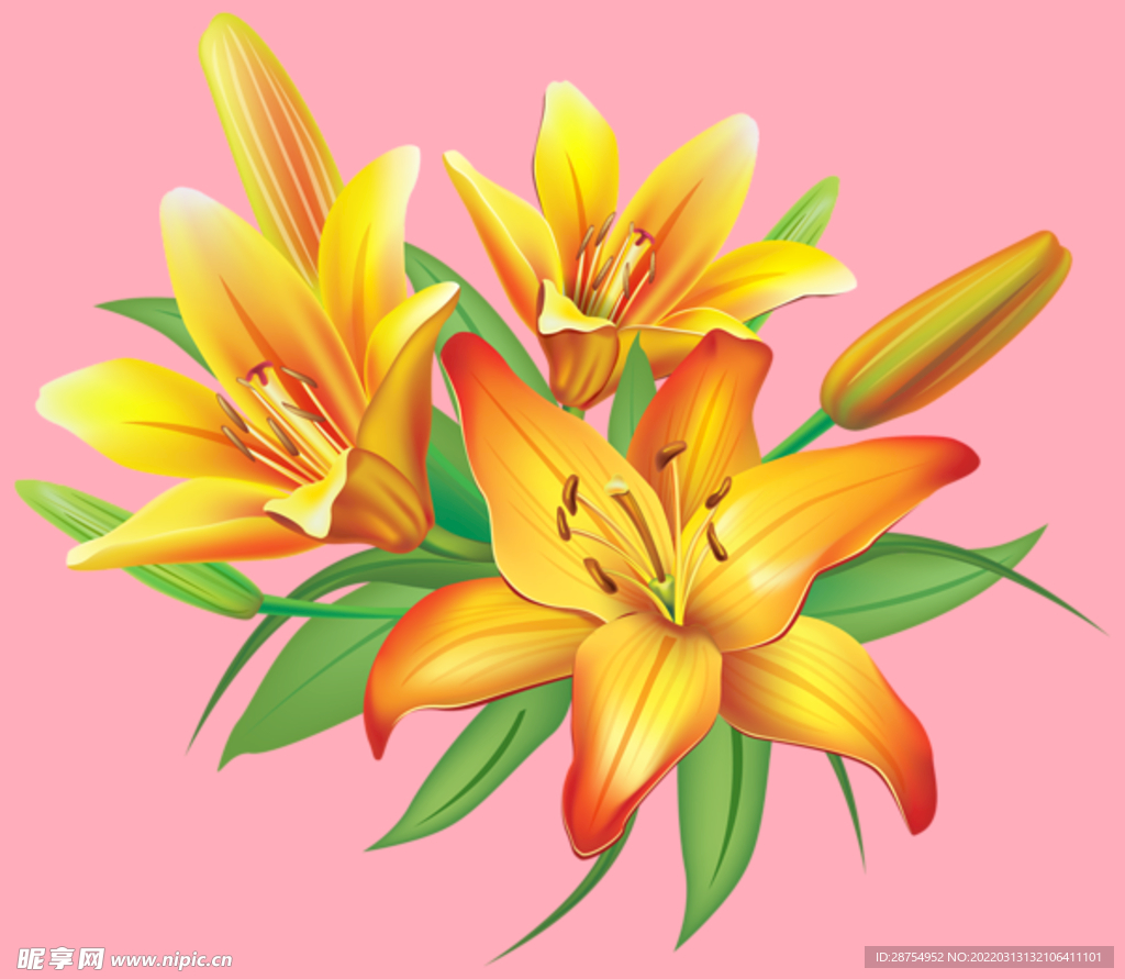 百合花