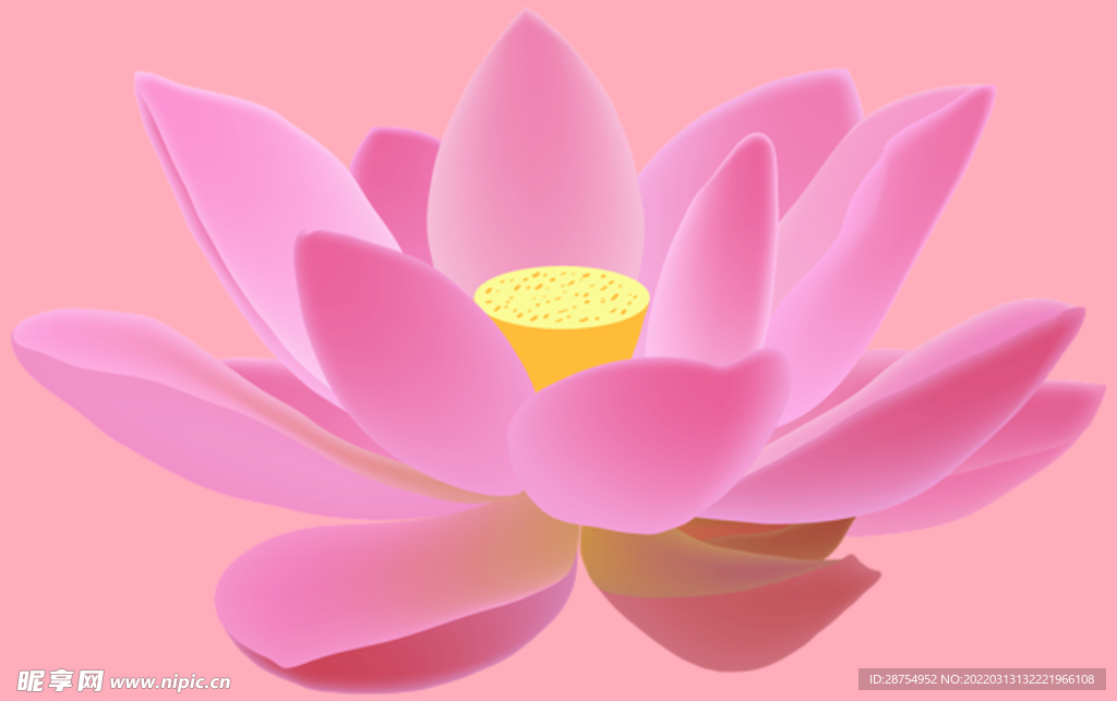 莲花